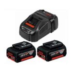 Bosch Starter Kit 18V ,5.0 Ah (2 Batteries …