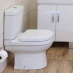 Shortland White